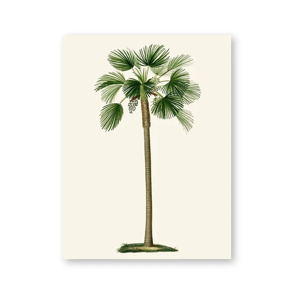 Tropical Vintage Palm Tree Canvas Print