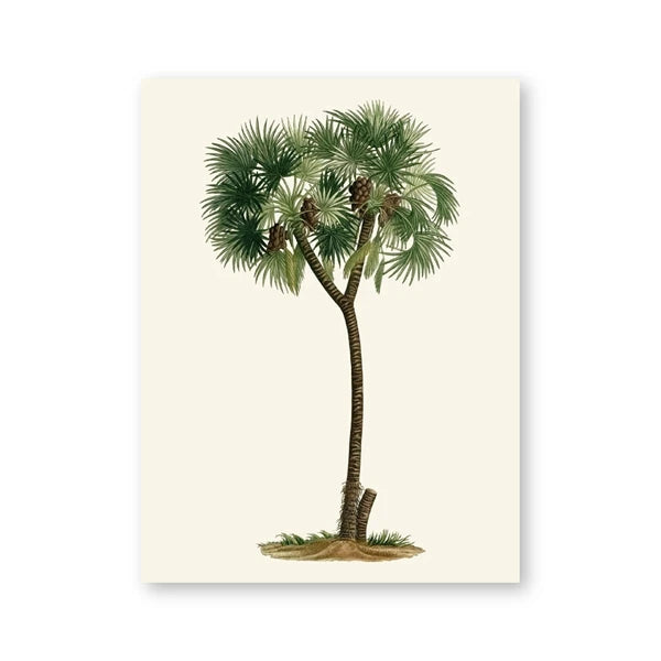 Tropical Vintage Palm Tree Canvas Print