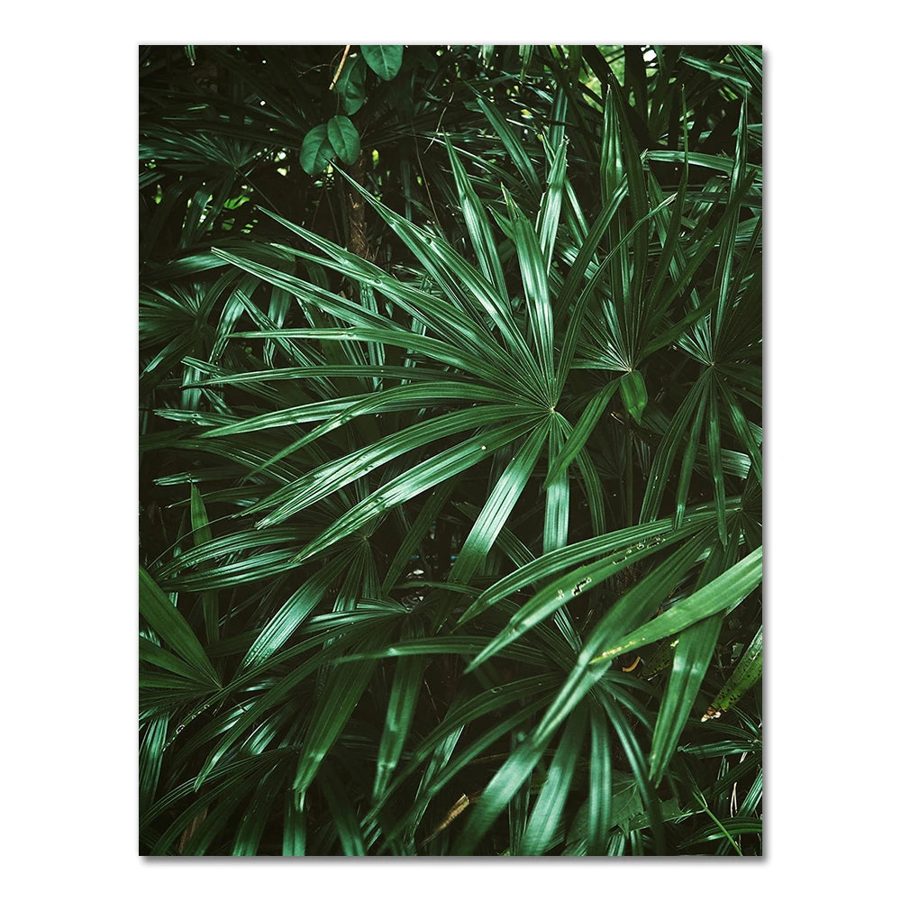Tropical Monstera Palm Canvas Poster