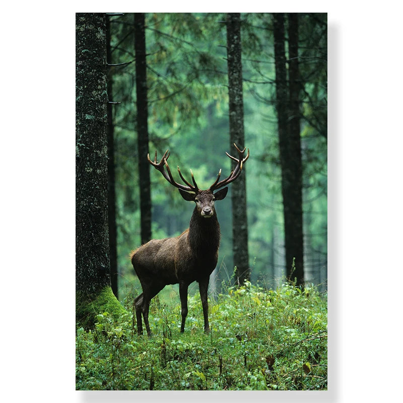 Green Forest Deer Waterfall Canvas Poster
