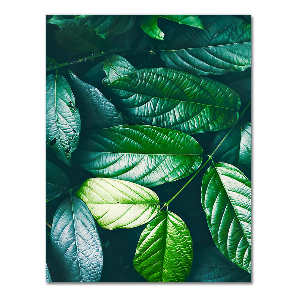 Tropical Monstera Palm Canvas Poster