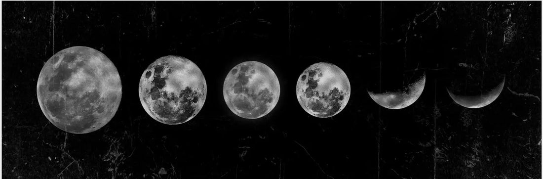 Moon Phase Gold & Black Canvas Poster
