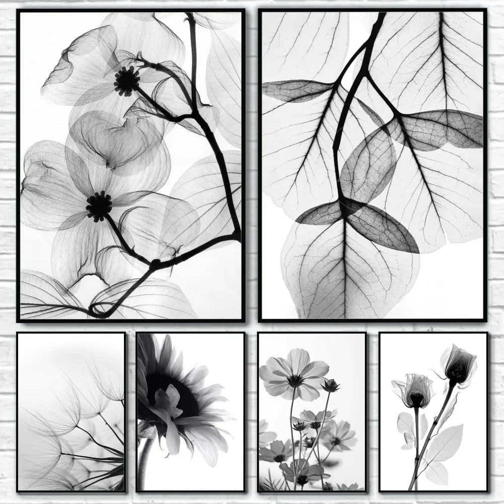 Black & White Plant Canvas Wall Art