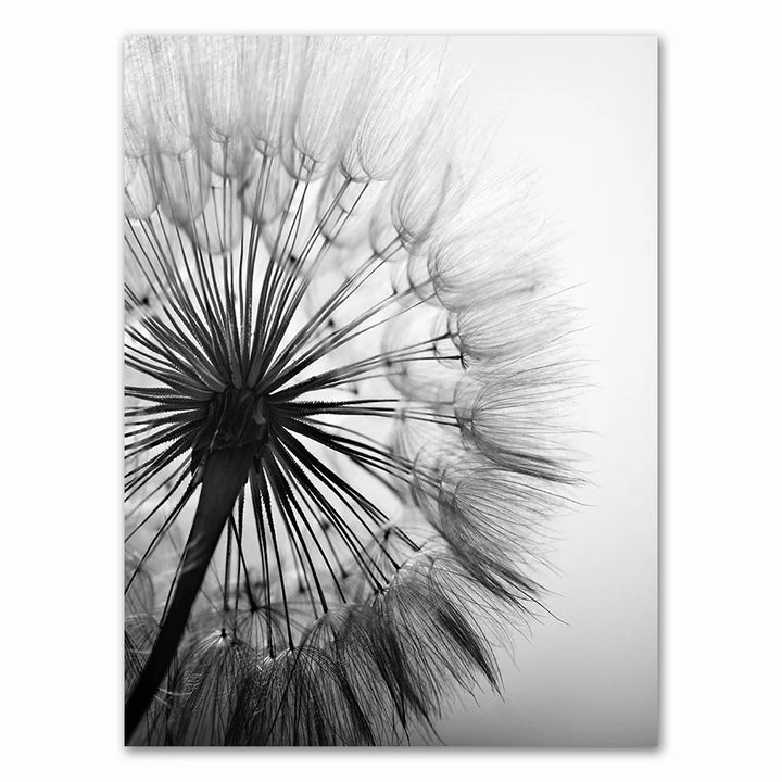 Dandelion Black White Canvas Poster