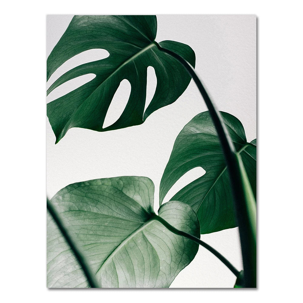 Tropical Monstera Palm Canvas Poster
