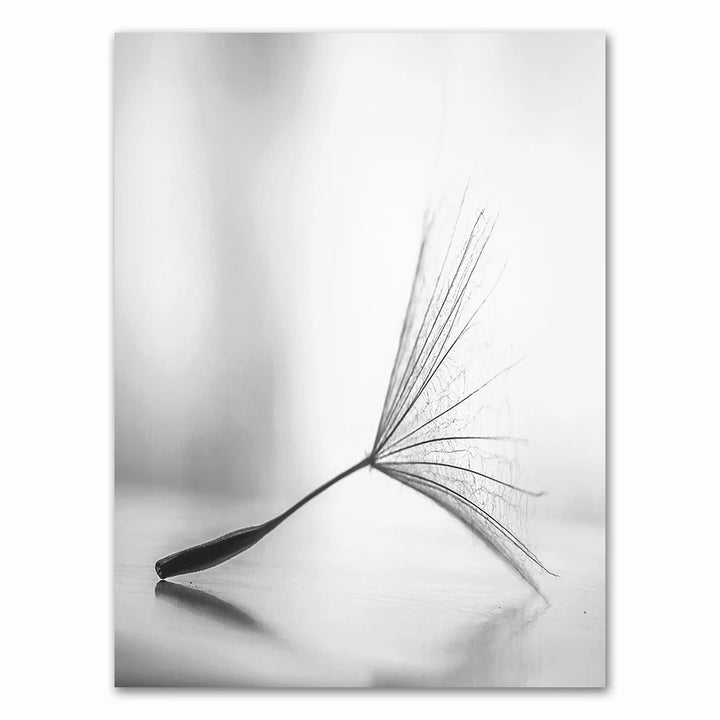 Dandelion Black White Canvas Poster